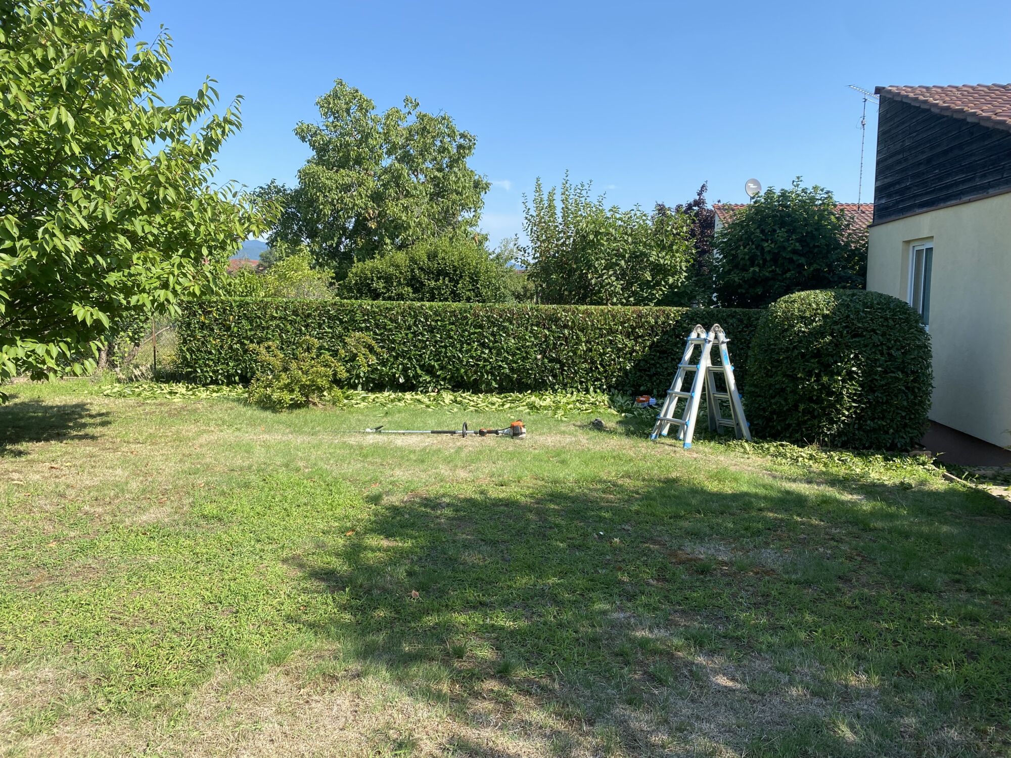 MM PAYSAGE TAILLES_18 | MM PAYSAGE Photos page d’accueil Cernay 1