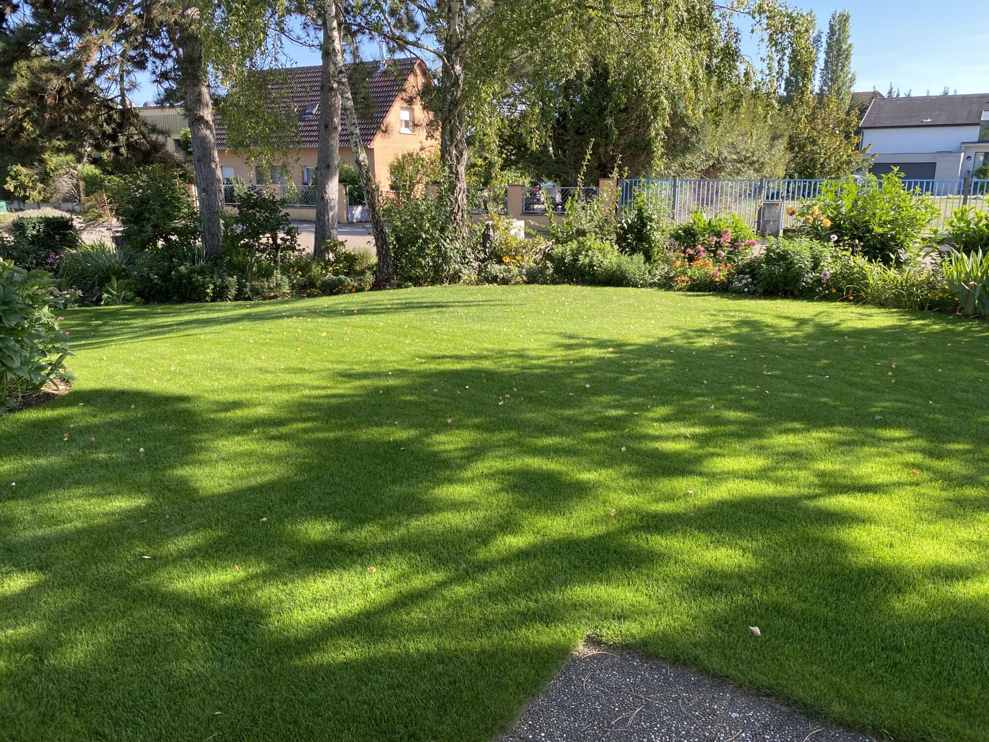 MM PAYSAGE TONTE PELOUSE_5 | MM PAYSAGE Paysagiste pour entretien d’espaces verts près de Turckheim et Colmar Colmar