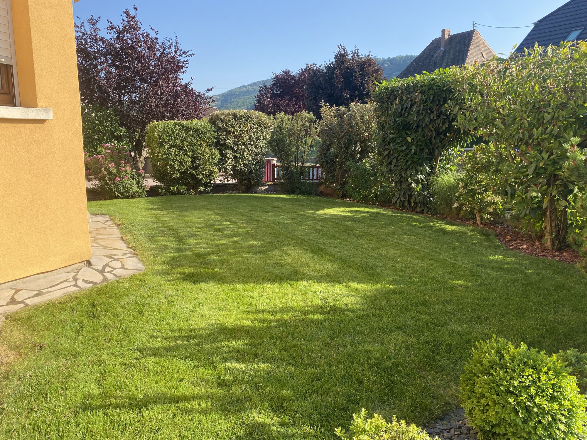MM PAYSAGE TONTE PELOUSE_8 | MM PAYSAGE Photos page d’accueil Illzach 8